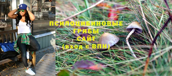PSILOCYBIN Баксан
