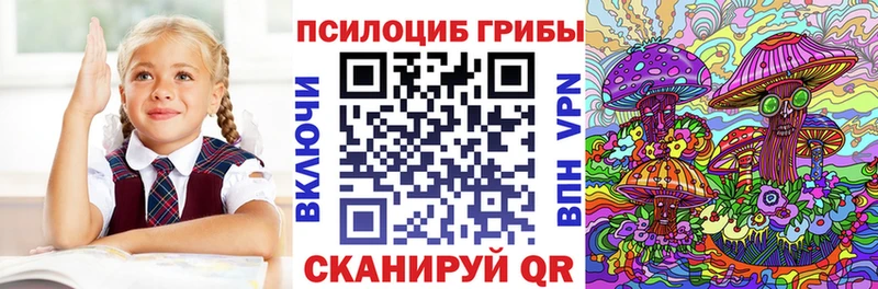 закладки  Каспийск  Псилоцибиновые грибы GOLDEN TEACHER 