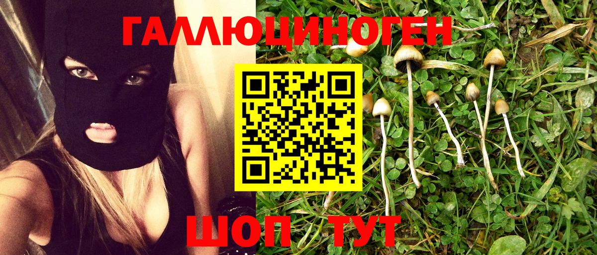 Галлюциногенные грибы Magic Shrooms Каспийск